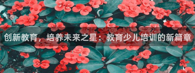 fh至尊品牌介绍