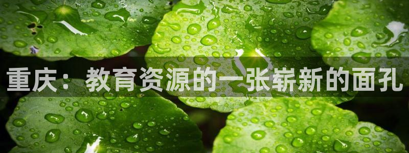 fh至尊凤凰官方旗舰店