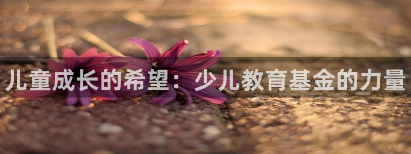 fh至尊为什么不更新了