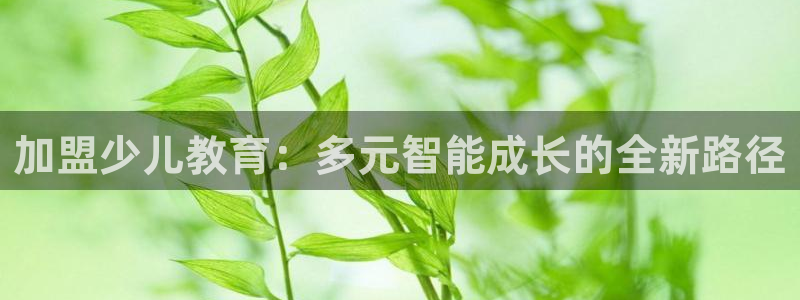 fh至尊是什么平台