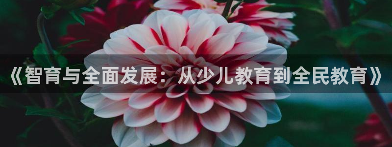 fh凤凰至尊