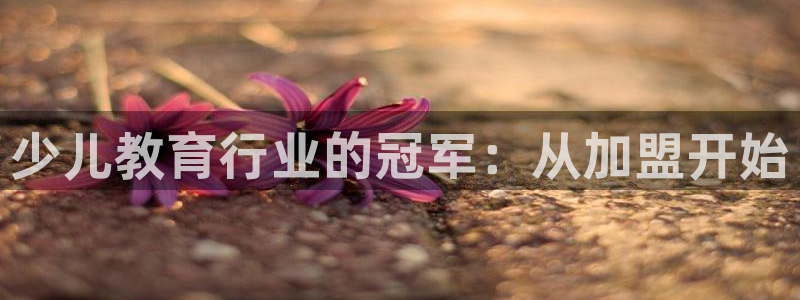 FH至尊apk