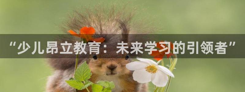 fh至尊网页登入