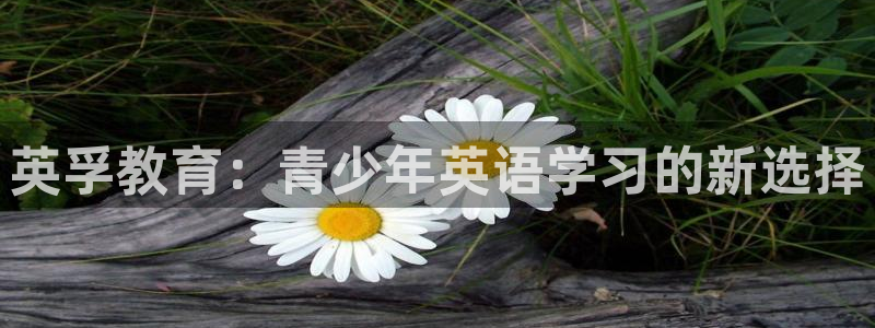 fh至尊怎么没有了