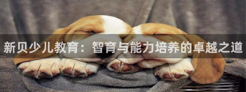 FH至尊公安
