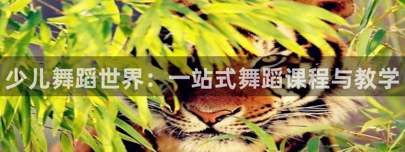 fh至尊平台黑钱