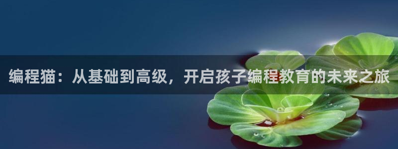 fh至尊代理