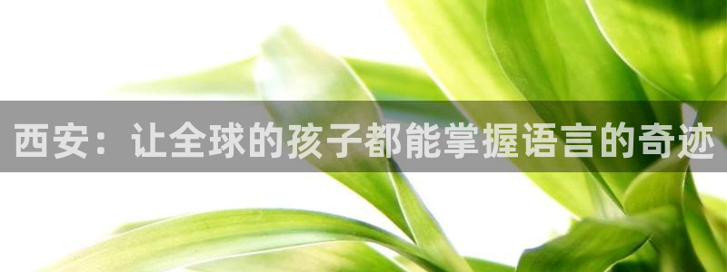 fh至尊是黑台子吗