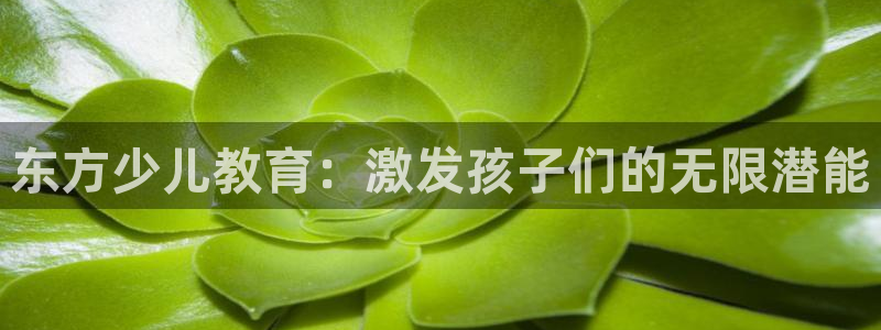 fh至尊20