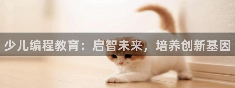 fh至尊