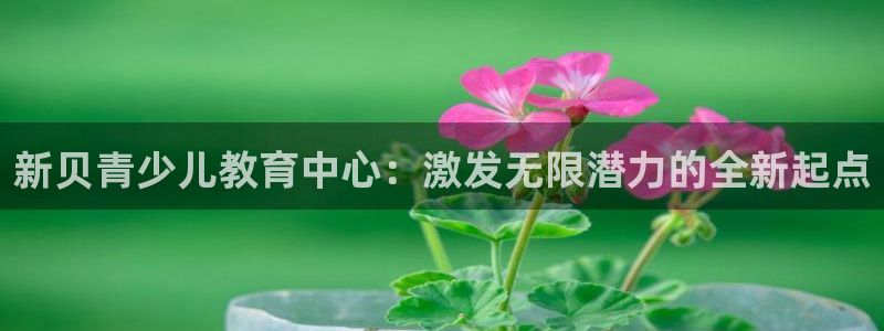 fh至尊品牌介绍