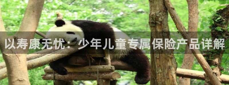 fh至尊官方旗舰店