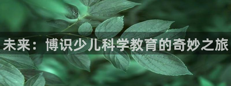 FH至尊平台是什么平台
