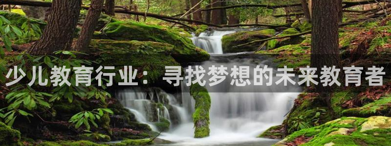 凤凰至尊FH正常登录