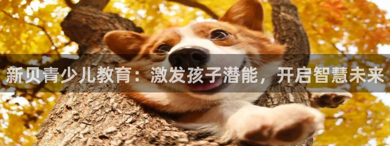 FH凤凰至尊娱乐