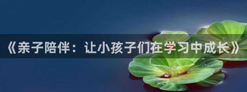 fh至尊