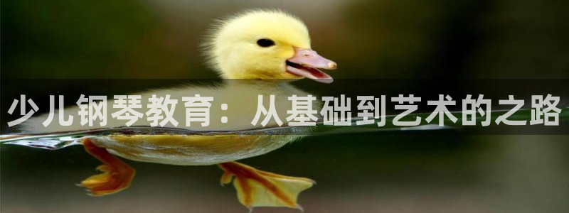 fh至尊凤凰消息的范本