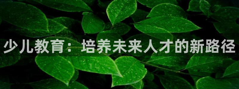 fh至尊为什么不更新了
