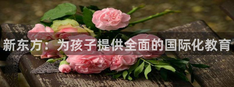 fh至尊为什么不更新了