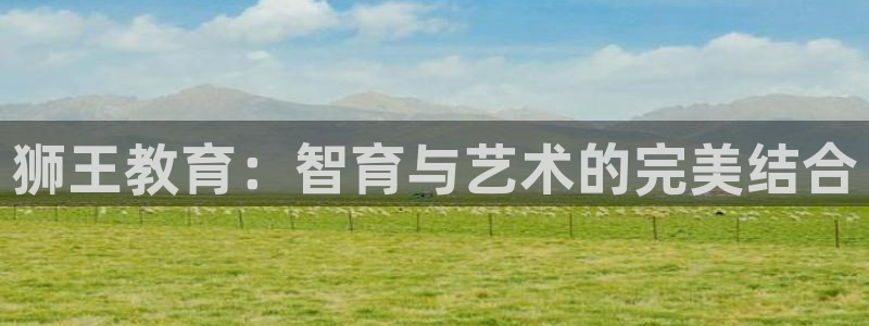 fh至尊品牌介绍