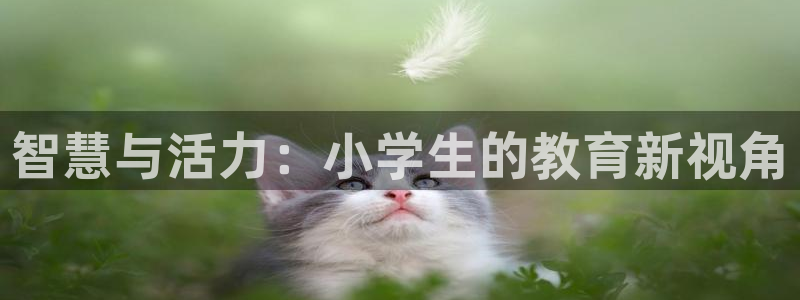 fh至尊游戏安全平台