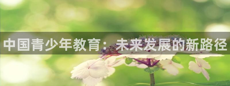 fh至尊诚信19年