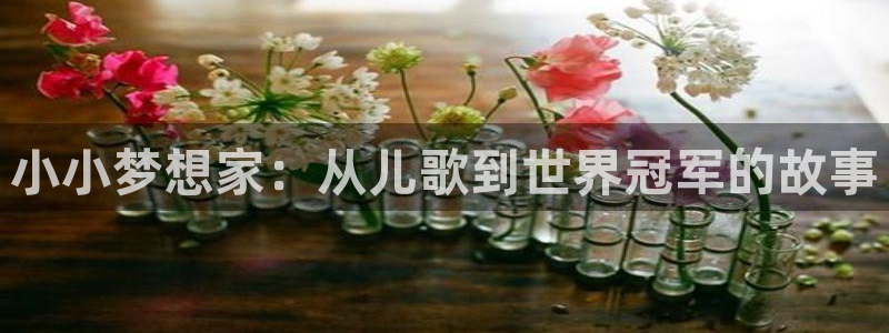 fh至尊平台简介