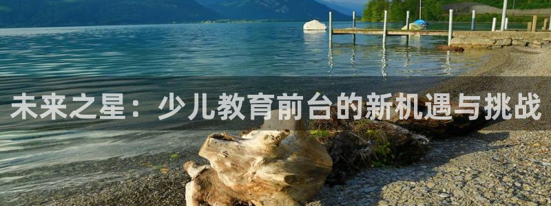 沃尔沃fh500至尊款