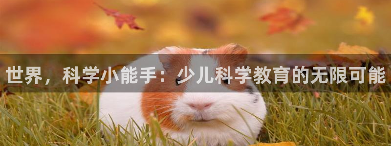 fh至尊是黑台子吗