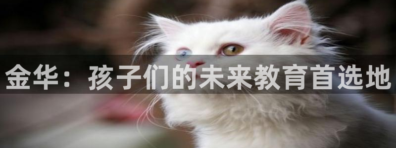 fh至尊什么意思