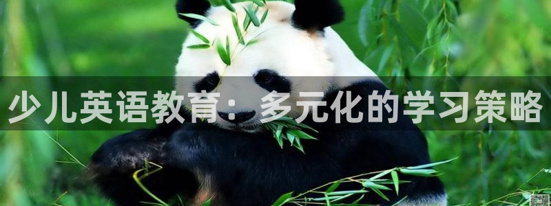 fh至尊品牌介绍