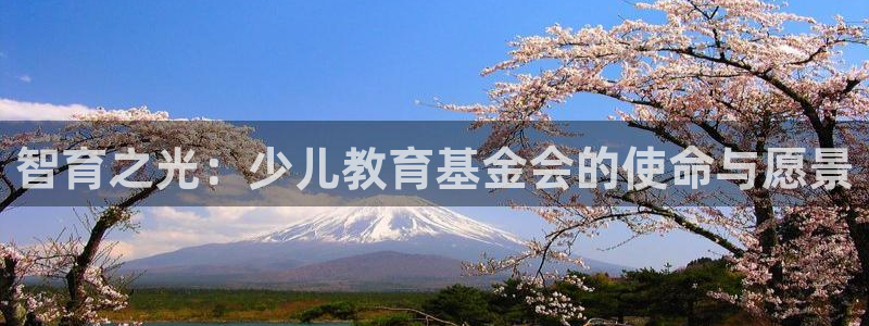 沃尔沃fh至尊旗舰版