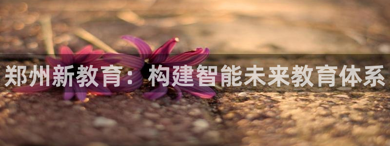 FH至尊平台登录