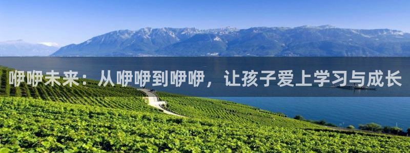 fh至尊普通登录