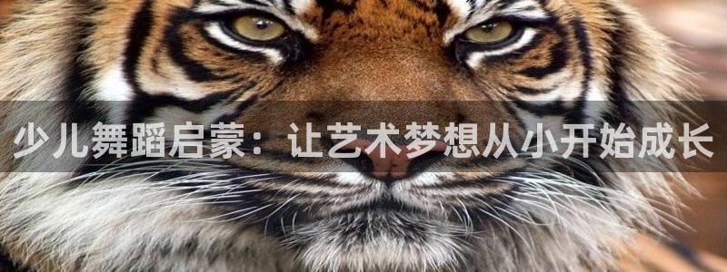 fh至尊游戏客服