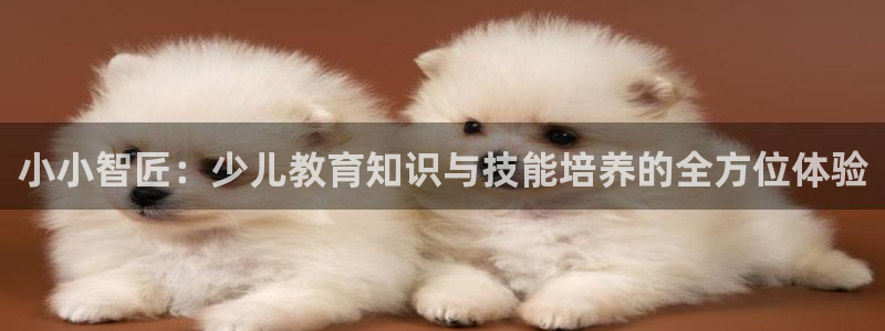 fh至尊官方网站