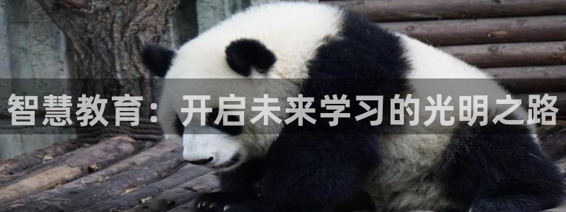 fh至尊app下载安装