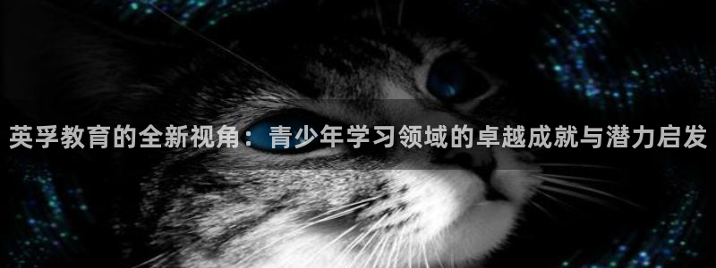 FH至尊平台怎样