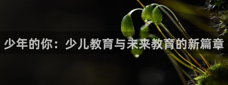 fh至尊平台靠谱吗