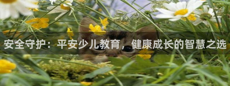 fh至尊平台黑吗