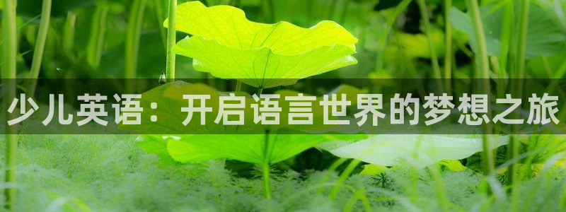 fh至尊是什么牌子