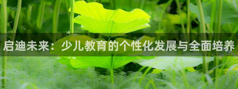 fh至尊游戏玩法