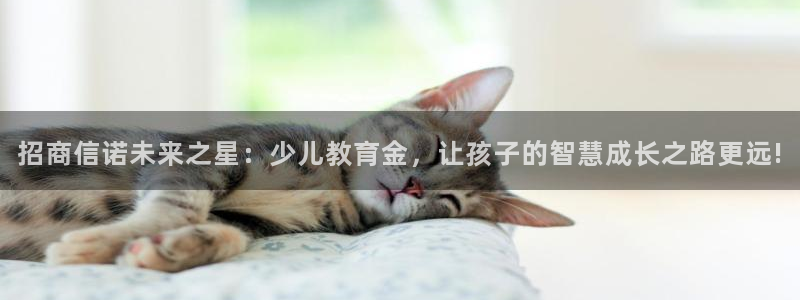 fh至尊是黑台子吗