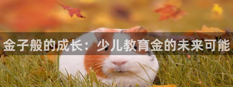 fh至尊是黑台子吗