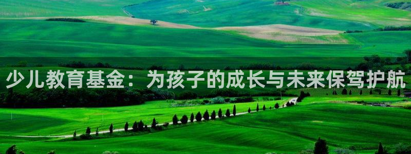 fh至尊是什么平台