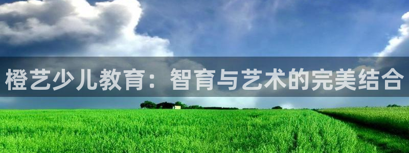 fh至尊是什么平台