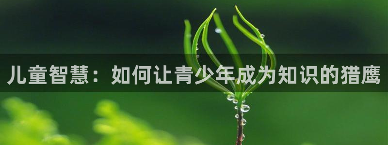 FH至尊登录不了