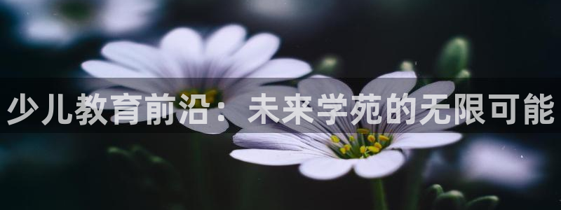FH至尊登录官网