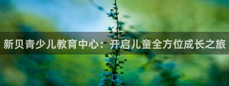 fh至尊是什么牌子