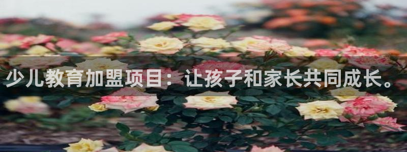 fh至尊是黑台子吗